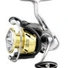 Daiwa Procyon LT Spinning Reels 2 Daiwa Procyon LT Spinning Reels -Daiwa Store 31403870912601