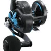 Daiwa Saltist Star Drag Conventional High Speed Reels -Daiwa Store 32117718810713