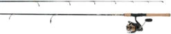 Daiwa BG Saltwater Spinning Combo
