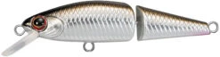 Daiwa DR Minnow Jointed Sinking Jerkbait - 2 Inches 8 Daiwa DR Minnow Jointed Sinking Jerkbait - 2 Inches -Daiwa Store 41542004670552