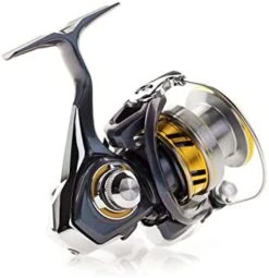 Daiwa Regal LT Spinning Reel -Daiwa Store 418E3HhhrIL. AC