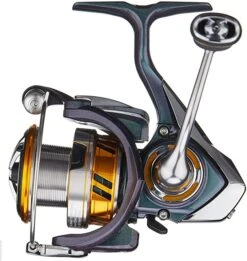 Daiwa Regal LT Spinning Reel -Daiwa Store 71 hChKj 8L. AC SX679