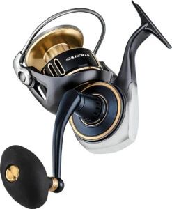 Daiwa Saltiga G Spinning Reels -Daiwa Store Back 8cd9d3c0 bdbf 4497 b3ee 9d5039c008a0