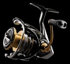 Daiwa Exceler LT Spinning Reel 9 Daiwa Exceler LT Spinning Reel -Daiwa Store JTKar0HY
