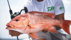 Daiwa Saltiga 15 Conventional Jigging Reel -Daiwa Store Lifestyle 3