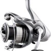 Daiwa Exceler LT Spinning Reels -Daiwa Store MainPaddle