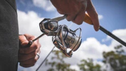 Daiwa Procyon MQ LT Spinning Reel -Daiwa Store Procyon1Spot