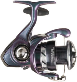 Daiwa Regal LT Spinning Reels -Daiwa Store RegalLTSide