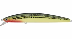 Daiwa Salt Pro Minnow 6 3/4 Inch Floating Rip Bait -Daiwa Store SOS green a817fa57 97be 4576 bfe8 8251158f62c0