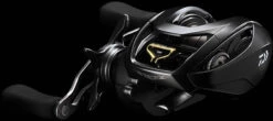 Daiwa Steez SV TW Baitcasting Reel -Daiwa Store STEEZ SVTW HS PR