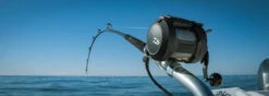Daiwa Tanacom 800 Power Assist Electric Dendoh Reel 10 Daiwa Tanacom 800 Power Assist Electric Dendoh Reel -Daiwa Store TANACOM 800 BANNER1
