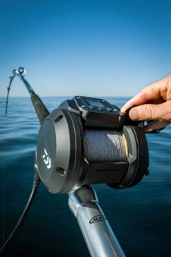 Daiwa Tanacom 800 Power Assist Electric Dendoh Reel 9 Daiwa Tanacom 800 Power Assist Electric Dendoh Reel -Daiwa Store TANACOM 800 41