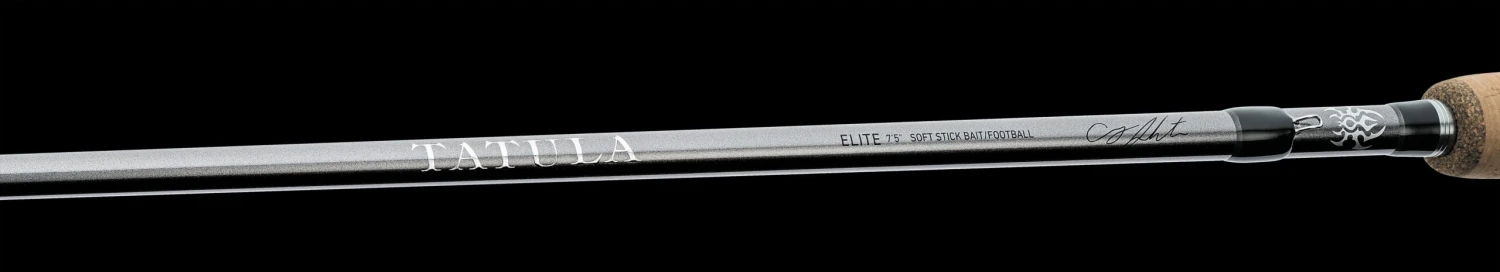 Daiwa Tatula Elite AGS Casting Rods 7 Daiwa Tatula Elite AGS Casting Rods - Image 5