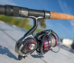 Daiwa Ballistic LT MQ Spinning Reels 16 Daiwa Ballistic LT MQ Spinning Reels -Daiwa Store ballistic mq lt 3