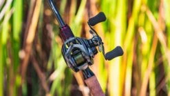 Daiwa Steez CT SV Baitcasting Reel -Daiwa Store daiwa steez ct sv 5