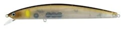 Daiwa Salt Pro Minnow 6 3/4 Inch Sinking Rip Bait -Daiwa Store ghost ayu 856c3bed e307 4b63 9848 7b604fc8633c