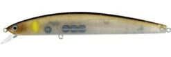 Daiwa Salt Pro Minnow 6 Inch Floating Rip Bait -Daiwa Store ghost ayu ec5c3a7a 5196 4402 be9a b13c6e960cc2