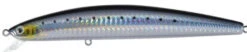 Daiwa Salt Pro Minnow 6 Inch Sinking Rip Bait 31 Daiwa Salt Pro Minnow 6 Inch Sinking Rip Bait -Daiwa Store laser sardine dbf8c689 1df1 4b1b ac7e 8169b9bae052