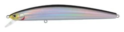 Daiwa Salt Pro Minnow 6 3/4 Inch Floating Rip Bait -Daiwa Store laser shiner b1e7a67c 4af6 49a5 bba9 f477a8ea7a15