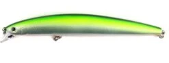 Daiwa Salt Pro Minnow 6 Inch Floating Rip Bait -Daiwa Store parrot c444bebc 7fd1 466f 82c2 f75e78094c9d
