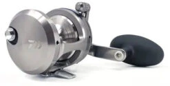 Daiwa Saltiga Star Drag 20/30/35/40/50 Conventional Reels -Daiwa Store saltigastar1 600x600 jpg