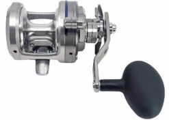 Daiwa Saltiga Star Drag 20/30/35/40/50 Conventional Reels -Daiwa Store saltigastar2