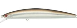 Daiwa Salt Pro Minnow 6 Inch Floating Rip Bait -Daiwa Store sand eel 83c039e4 3894 4c9f a6f9 262954ac3f96