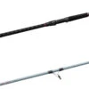 Daiwa Team Daiwa Spinning Surf Rods 1 Daiwa Team Daiwa Spinning Surf Rods -Daiwa Store teamdaiwasurf.JPG a0dddbb9 5def 4405 916c beed396e121f