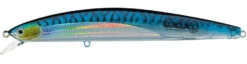 Daiwa Salt Pro Minnow 6 Inch Sinking Rip Bait 34 Daiwa Salt Pro Minnow 6 Inch Sinking Rip Bait -Daiwa Store translucent blue mackerel 08f9cead 585f 4520 94ae 33381a3000e2