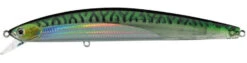 Daiwa Salt Pro Minnow 6 Inch Sinking Rip Bait 36 Daiwa Salt Pro Minnow 6 Inch Sinking Rip Bait -Daiwa Store translucent green mack 5cf7c90f e92b 47ce b9b8 4b315d0cdc9b
